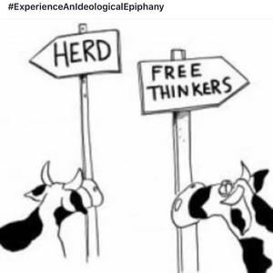 Meet your Posher, Teresa